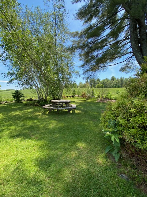A hexagonal wooden table in a yard with shade trees.